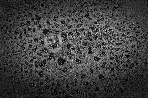 2026_04_17_901673